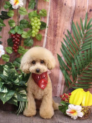 20230830サラちゃん